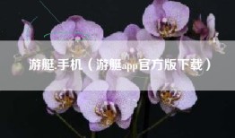 游艇.手机（游艇app官方版下载）