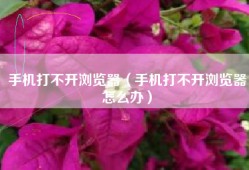 手机打不开浏览器（手机打不开浏览器怎么办）