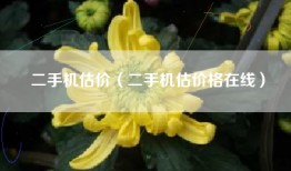 二手机估价（二手机估价格在线）