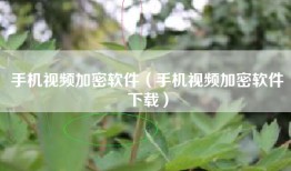 手机视频加密软件（手机视频加密软件下载）
