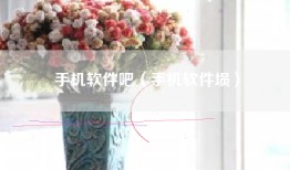 手机软件吧（手机软件埙）