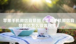 苹果手机微信背景图（苹果手机微信背景图片怎么设置尺寸）