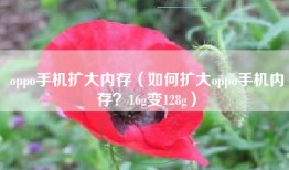 oppo手机扩大内存（如何扩大oppo手机内存？16g变128g）