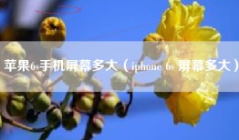 苹果6s手机屏幕多大（iphone 6s 屏幕多大）