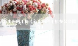 新出来的手机（新出来的手机多久会降价）