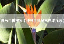 神马手机搜索（神马手机搜索在线视频）