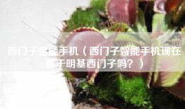 西门子智能手机（西门子智能手机现在属于明基西门子吗？）