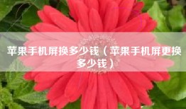 苹果手机屏换多少钱（苹果手机屏更换多少钱）