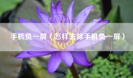 手机负一屏（怎样去除手机负一屏）