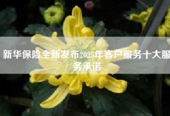 新华保险全新发布2025年客户服务十大服务承诺