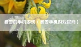 暴雪的手机游戏（暴雪手机游戏官网）