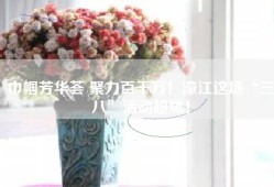 巾帼芳华荟 聚力百千万！濠江这场“三八”活动超燃！