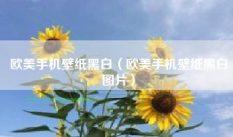 欧美手机壁纸黑白（欧美手机壁纸黑白图片）