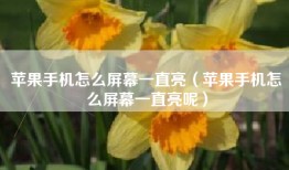 苹果手机怎么屏幕一直亮（苹果手机怎么屏幕一直亮呢）