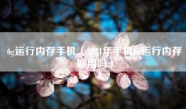 6g运行内存手机（2021年手机6g运行内存够用吗）