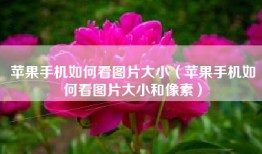 苹果手机如何看图片大小（苹果手机如何看图片大小和像素）