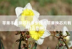 苹果手机换芯片多少钱（苹果换芯片有什么影响）