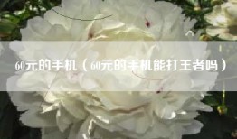 60元的手机（60元的手机能打王者吗）