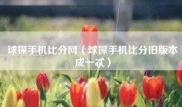 球探手机比分网（球探手机比分旧版本成一忒）