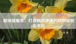 爱短链服务，打造高效便捷的短网址转化平台
