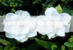 手机陀螺仪原理（手机 陀螺仪 原理）