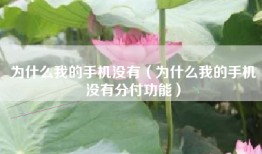 为什么我的手机没有（为什么我的手机没有分付功能）