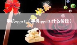 手机oppor11（手机oppoR11什么价钱）