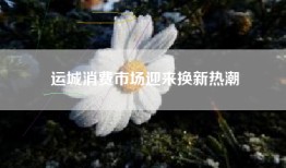 运城消费市场迎来换新热潮