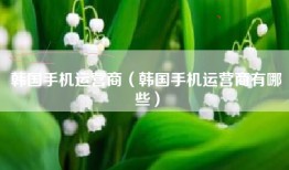 韩国手机运营商（韩国手机运营商有哪些）