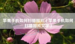 苹果手机如何扫描图片（苹果手机如何扫描图片文字）