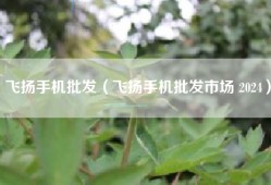 飞扬手机批发（飞扬手机批发市场 2024）