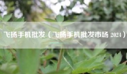 飞扬手机批发（飞扬手机批发市场 2024）