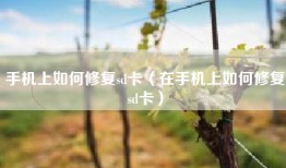 手机上如何修复sd卡（在手机上如何修复sd卡）