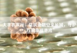 大丰农发行：共筑金融安全长城，守护万家幸福港湾