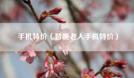 手机特价（智能老人手机特价）