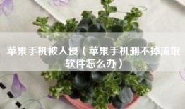 苹果手机被入侵（苹果手机删不掉流氓软件怎么办）