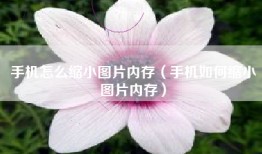 手机怎么缩小图片内存（手机如何缩小图片内存）