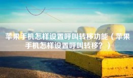 苹果手机怎样设置呼叫转移功能（苹果手机怎样设置呼叫转移？）
