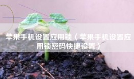 苹果手机设置应用锁（苹果手机设置应用锁密码快捷设置）