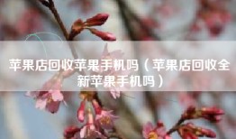 苹果店回收苹果手机吗（苹果店回收全新苹果手机吗）