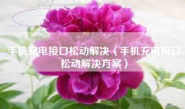 手机充电接口松动解决（手机充电接口松动解决方案）