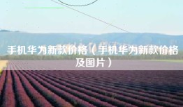 手机华为新款价格（手机华为新款价格及图片）