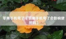 苹果手机弯了（苹果手机弯了会影响使用吗）
