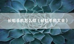 长虹手机怎么样（长虹手机大全）