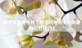 顺丰快递寄手机（顺丰快递寄手机需要自己打包吗）