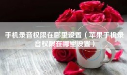 手机录音权限在哪里设置（苹果手机录音权限在哪里设置）