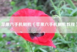 苹果六手机刷机（苹果六手机刷机教程）