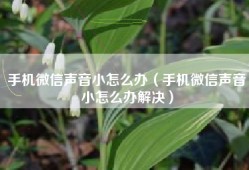 手机微信声音小怎么办（手机微信声音小怎么办解决）