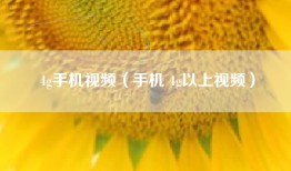 4g手机视频（手机 4g以上视频）