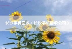 长沙手机回收（长沙手机回收公司）